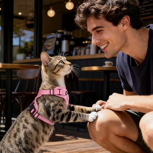 Dooradar Cat Harness and Leash Set, Adjustable and Escape Proof, Xs - color: Pink Coneflower, size: Xs