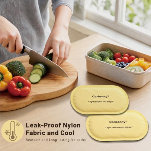 Cerbonny Slim Ice Packs for Lunch Boxes,Reusable, 2 Pack, Sunshine Yellow - color: Yellow
