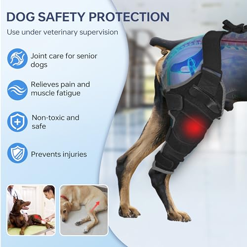 Dog Knee Brace for Back Leg - Adjustable Breathable Canine Leg Wrap with Hot & Cold Gel Packs - Supports Large & Medium Dogs with Arthritis, Hip Dysplasia, ACL Injuries, Left Hind Leg (L)