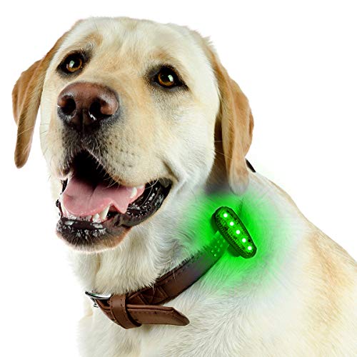 USB-C Rechargeable LED Safety Lights (2 Pack) - Clip on Strobe Running Lights for Runners, Joggers,Walkers,Kids,Dogs,Bike Tail Lights - High Visibility Accessories for Reflective Gear - color: Green