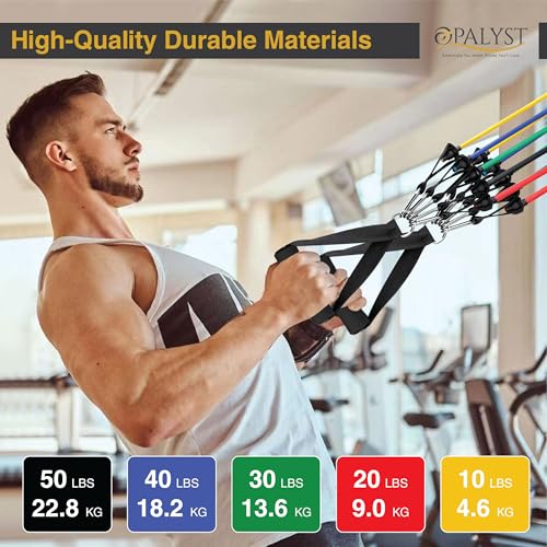 Resistance Bands with Handles, 11-Piece Exercise Band Set for Home Gym, 5 Stackable Tubes with Door Anchor, Ankle Straps and Carry Bag