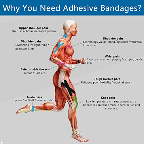 Self Adhesive Wrap Cohesive Bandages 12 Count 3" x 5 Yards, Medical Tape, Adhesive Flexible Breathable First Aid Non Woven Rolls, Stretch Athletic, Ankle Sprains & Swelling, Sports - color: Beige, size: 12 Count (Pack of 1)