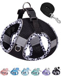 Petank Step in Dog Harness No Pull and Leash for Small Medium Dogs Cats. - color: Black, size: XXS