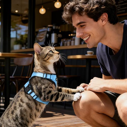 Dooradar Cat Harness and Leash Set, Adjustable and Escape Proof, XXS - color: Light Blue, size: Xxs