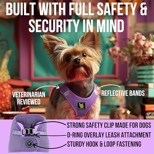 EcoBark Premium Teacup Dog Harness, Mini Step in Vest, XXXS, Lavender - color: Lavender, size: XXXS- 2 to 3 lbs- Chest up to 10 in (Pack of 1)