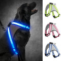 Visinite LED Dog Harness, USB Rechargeable Light Up Dog Vest, 2 Illuminate Modes Glow in The Dark Dog Harness, Adjustable Lighted Pet Harness Light for Night Walking Safety(Blue, L) - color: Blue, size: Large