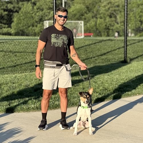 Hands Free Dog Leash with Waist Pouch, Reflective Bungee, Dogs Up to 100 lb - color: Gray