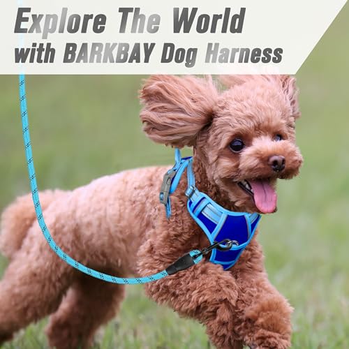 BARKBAY Dog Harness No Pull for Small Sized Dog Front Back Clips,Dog Vest - color: Sapphire Blue & Blue, size: X-Small(Chest:15.5-19.5”)