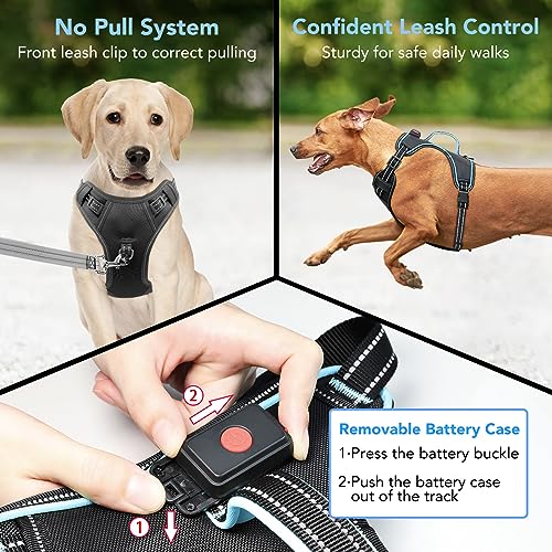 Light Up Dog Harness, Rechargeable LED Dog Vest for Night Walking - color: Black-Blue, size: M