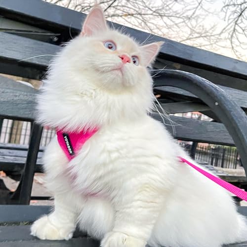 Voyager Escape-Proof Step-in Harness & Leash - Fuchsia, S - color: Fuchsia, size: S (Chest: 15 - 18")