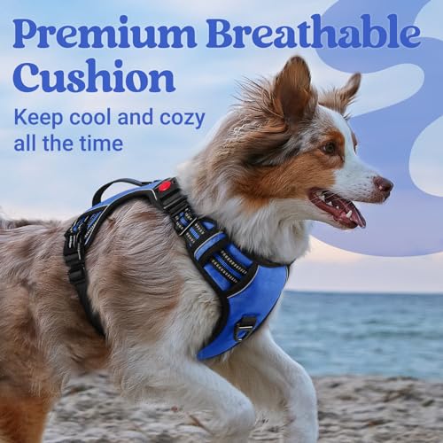 rabbitgoo Large Dog Harness, Easy Wear with 3 Buckles and Lift Handle - color: Blue, size: Medium