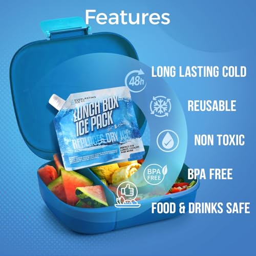 Everlasting Ice RX Reusable Ice Packs for Cooler (4 Pack) Up to 48 Hours Freezer Packs for Coolers and Lunch Boxes Cooler Ice Packs for Lunch Box, Camping, Fishing, Beach, Road Trips - size: Medium 7.5" x 6.5" (4 Pack)