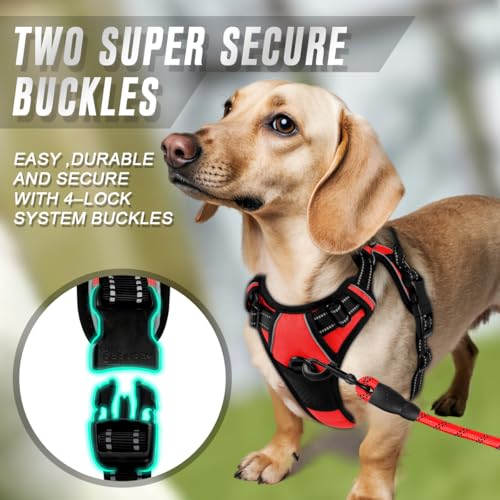 BARKBAY Dog Harness No Pull for Small Sized Dog Front Back Clips,Dog Vest - color: Red, size: X-Small(Chest:15.5-19.5”)