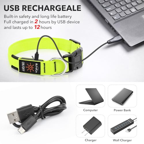Illumifun LED Collar for Small Dogs, USB Rechargeable Light Up Dog Collar, Flashing Pet Safety Light Glow in the Dark (Green, Small) - color: Green, size: Small