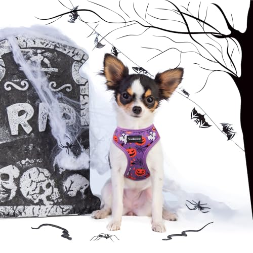 SCENEREAL Halloween Small Dog Harness and Leash Set - color: Purple-Halloween, size: S: Chest Girth: 14"-18"