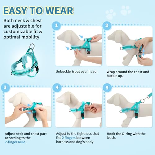 SlowTon No Pull Small Dog Harness and Leash Set with Front Clip - color: Teal, size: XX-Small