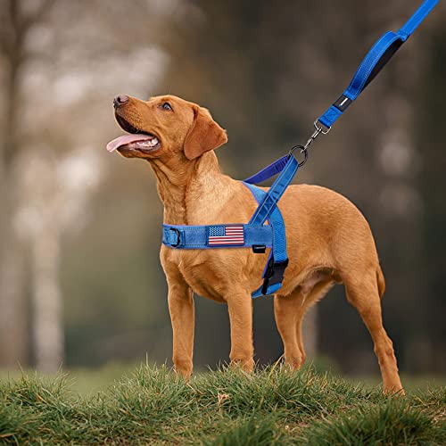 Annchwool No Pull Dog Harness with Soft Padded Handle & Front Clip(Blue,S) - color: Blue, size: S