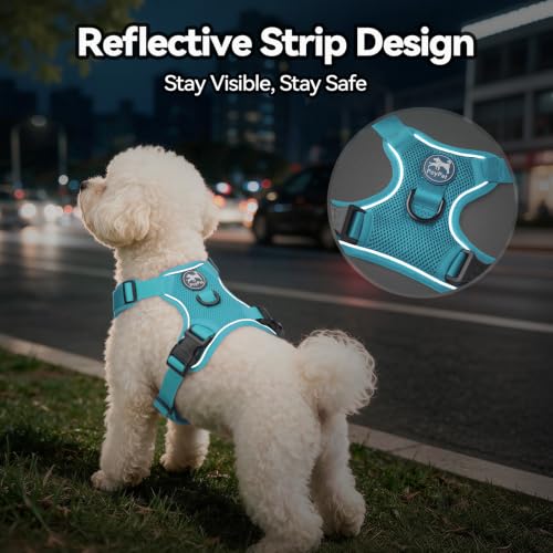 PoyPet Mesh Dog Harness, Reflective Breathable Puppy Vest for Small Dogs - color: Blue, size: S