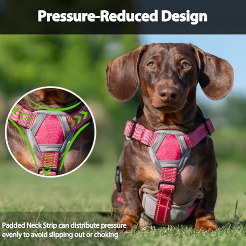 Huntboo Escape Proof Dog Harness, Dachshund Harness, Reflective Dog Harness with Handle, Durable,Adjustable Vest for Small Medium Large Dogs Walking, Training, and Running Gear (Rose red,M) - color: Rose red, size: Medium(Pack of 1)