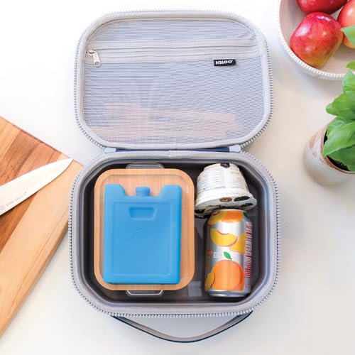 Igloo Maxcold Ice Block, 4 Pieces - color: 4pk small