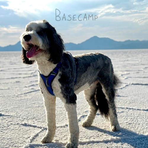 ShawnCo Basecamp Dog Harness, No-Pull Pet Vest (ICY Lilac,S) - color: Icy Lilac, size: S