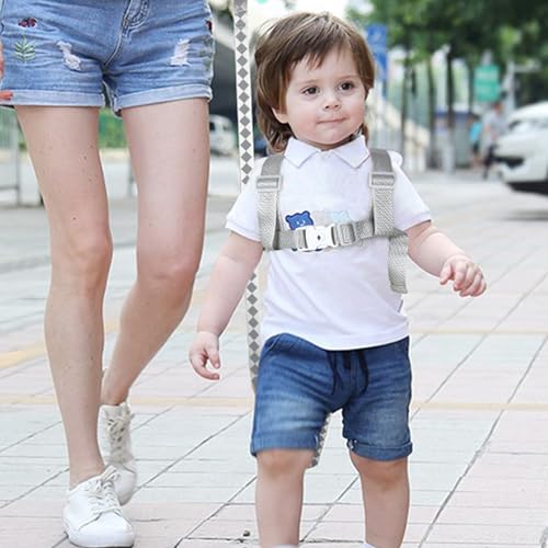Accmor Toddler Harness Leash+ Anti Lost Wrist Link, Cute Dinosaur Kids Harness with Leash, Collapsible Child Leash Baby Walking Wristband Assistant Strap Belt for Boys - color: Black/Cute Tyrannosaurus Rex