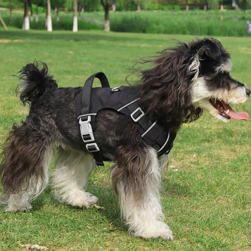 Mile High Life No Pull Dog Harness with Reflective Stripe, Adjustable Easy Get on Lightweight Harness for Small Medium Large Dogs Walking Running Training (Black, L Chest 21"-28") - color: Black, size: L Chest 21"-28"