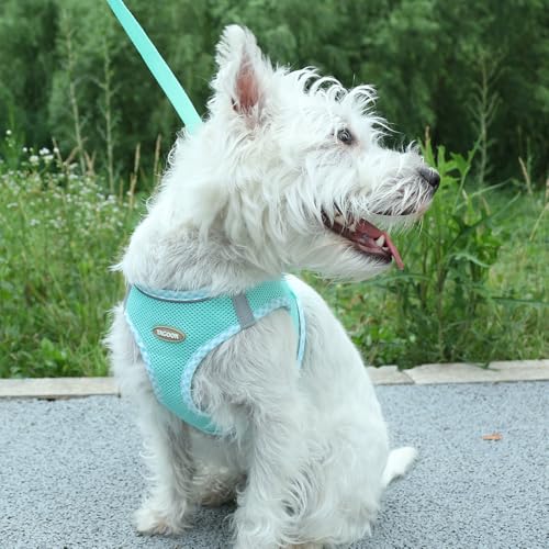Dog Harness and Leash Set, Mesh Male and Female Extra Small Dogs Vest Collars, Adjustable No-Pull Pet Cat Chest Harnesses with Leashes, Running Gear for Tiny Poodle, Shih Tzu Puppy, Green S - color: GREEN, size: S