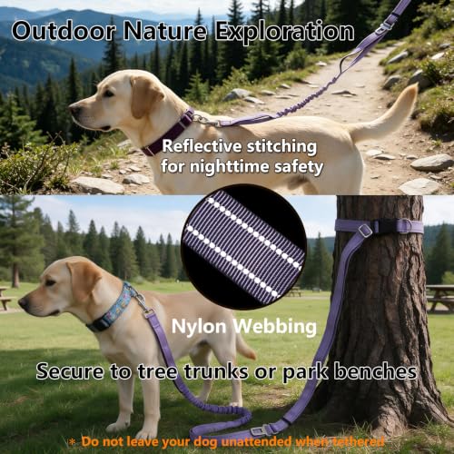 Triple Handle Bungee No Pull Dog Leash, Lavender 6.23-8.53FT - color: Lavender