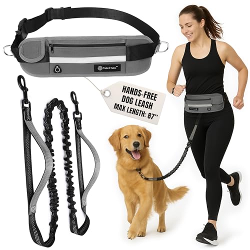 Hands Free Dog Leash with Waist Pouch, Reflective Bungee, Dogs Up to 100 lb - color: Gray
