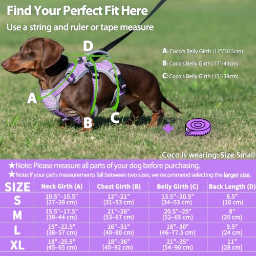 Huntboo Escape Proof Dog Harness, Dachshund Harness, Reflective Dog Harness with Handle, Durable,Adjustable Vest for Small Medium Large Dogs Walking, Training, and Running Gear (Lavender Purple,M) - color: Lavender Purple, size: Medium(Pack of 1)