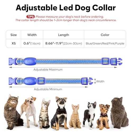 Flashseen LED Dog Collar, Light Up Dog Collar USB Rechargeable, Blue, XS - color: Blue, size: X-Small