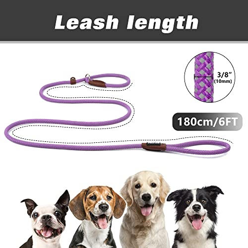 PetiFine Slip Lead Dog Leash Reflective, 6FT x 3/8" Heavy Duty Slip Leash - color: Purple, size: 3/8" x 6 FT
