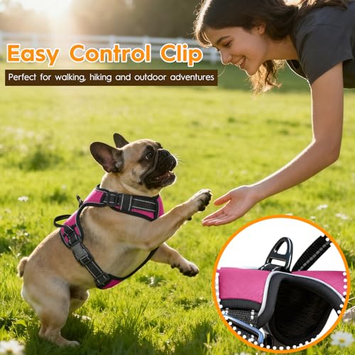 No Pull Dog Harness, No-Choke Soft Padded Reflective Dog Vest Harness with Front Clip & Top Handle, 2 Quick-Release Buckles, Adjustable for Small Medium Large Dogs - color: Hot Pink, size: X-Small