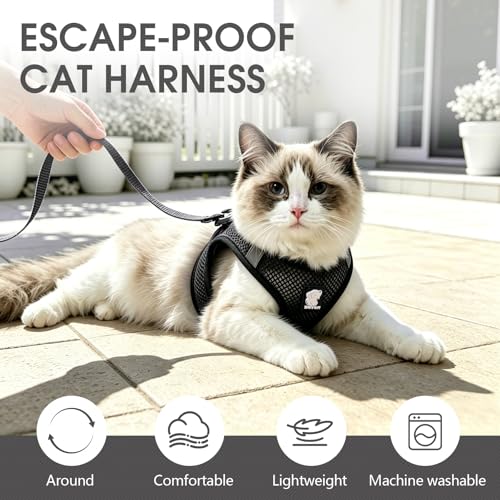 Heywean Cat Harness and Leash Escape Proof, Soft Breathable Mesh Kitty Walking Vest, Adjustable Step-in Kitten Harness Set with Reflective Strip for Small Cats - color: Black, size: Large