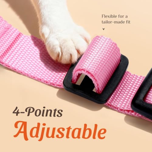 Dooradar Cat Harness and Leash Set, Adjustable and Escape Proof, M - color: Pink Coneflower, size: M
