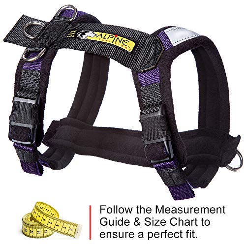 Adjustable Dog Harness, No-Pull D-Ring - Alpine Outfitters Urban Trail – Padded, Reflective, Multi-Use for Hiking, Running, and Everyday Wear - Small Purple - color: Purple, size: Small