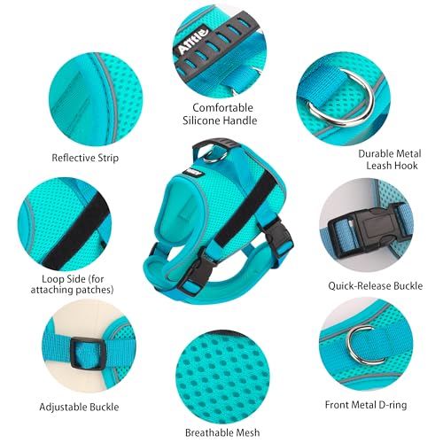 AIITLE No-Pull Dog Harness Reflective Mesh Vest Adjustable, Green XS - color: Green, size: XS