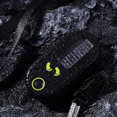 WINOMO Exercise Step Walking 3D Pedometer Accurate Step Counter Walking Distance Miles/Km Calorie Counter Exercise Time Silent with Clip and Lanyard Pedometer