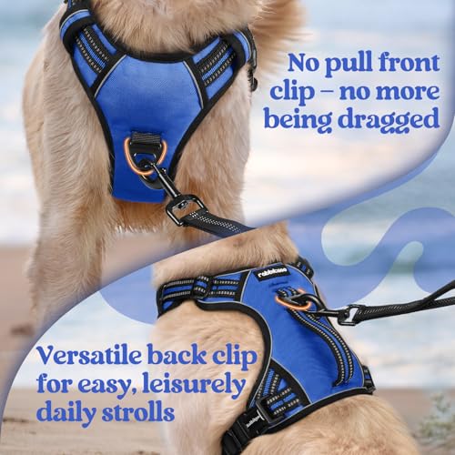 rabbitgoo Large Dog Harness, Easy Wear with 3 Buckles and Lift Handle - color: Blue, size: Large