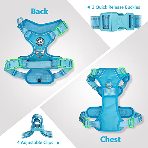 PoyPet No Pull Dog Harness, Reflective Vest with 2 Leash Clips & Handle - color: Blue(Matching Trim), size: S