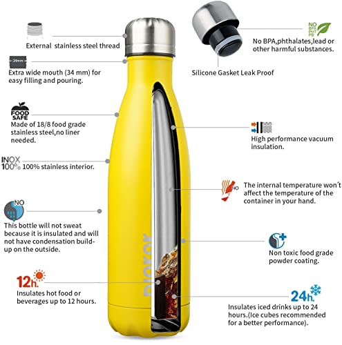 BJPKPK 17 oz Insulated Water Bottle, Stainless Steel Flask, Leak Proof - color: A-Goldenrod, size: 17 Ounces