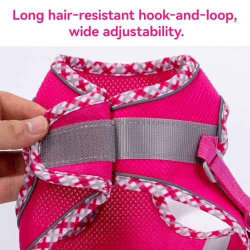 Petank Step in Dog Harness No Pull and Leash for Small Medium Dogs Cats. - color: Rose Red, size: XXXS