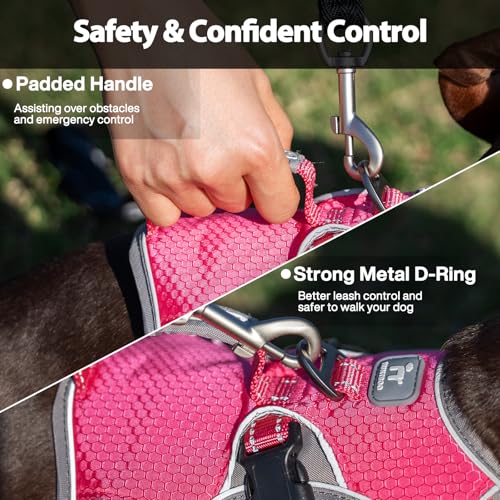 Huntboo Escape Proof Dog Harness, Dachshund Harness, Reflective Dog Harness with Handle, Durable,Adjustable Vest for Small Medium Large Dogs Walking, Training, and Running Gear (Rose red,M) - color: Rose red, size: Medium(Pack of 1)