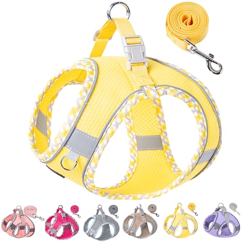 Petank Step in Dog Harness No Pull and Leash for Small Medium Dogs Cats. - color: Yellow, size: XXXS