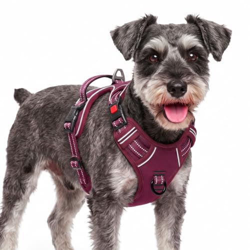HEELE Dog Harness, Breathable Padded, No Pull Front Clip Vest, Burgundy S - color: Lock Burgundy, size: S (Pack of 1)