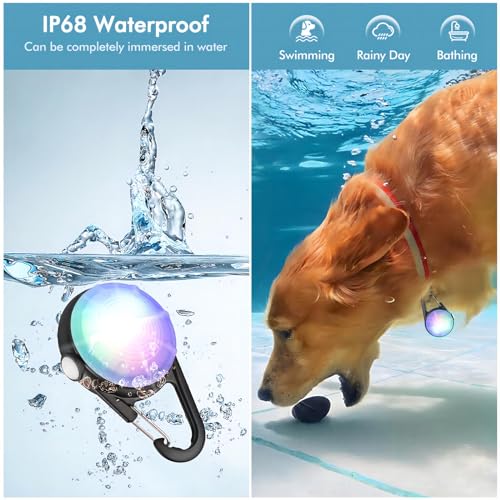 4 Modes Dog Collar Light，2 Packs IP68 Waterproof Dog Lights for Night Walking, USB Rechargeable Pet LED for Nighttime Clip on (Black)