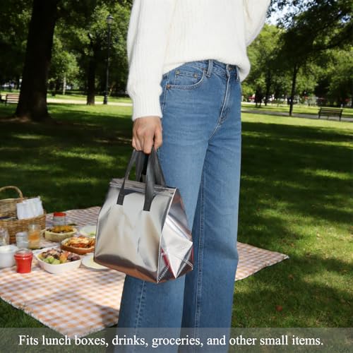 12Pcs Insulated Lunch Bag Disposable Cooler Bag Thermal Grocery Take Away Bags for Food Delivery Party Drink Picnic Holiday, Silver - color: Silver, size: 9.45"(H) x 9.45"(L) x 5.91"(W)