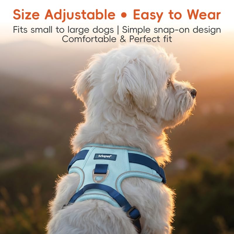 Dog Harness and Leash Set with Collar, No Pull Reflective Pet Vest Harness with Control Handle for Medium Large Dogs Walking and Training - color: Blue, size: XS(Neck:13.4-16.5",Chest:16.5-19.7")