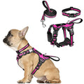 WINSEE Pet Harness Collar and Leash Set, All-in-one Reflective Dog Harness No Pull with Adjustable Buckles for Puppies, Small, Medium, Large, and Extra-Large Dogs (Small, Rosy) - color: Rosy, size: Small